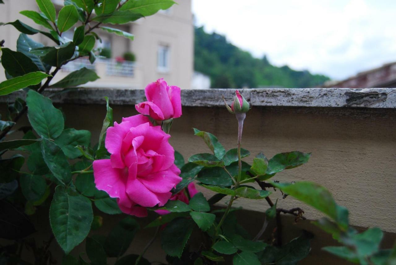 A Casa Di Lola Bed and Breakfast Ασκόλι Πιτσένο Εξωτερικό φωτογραφία